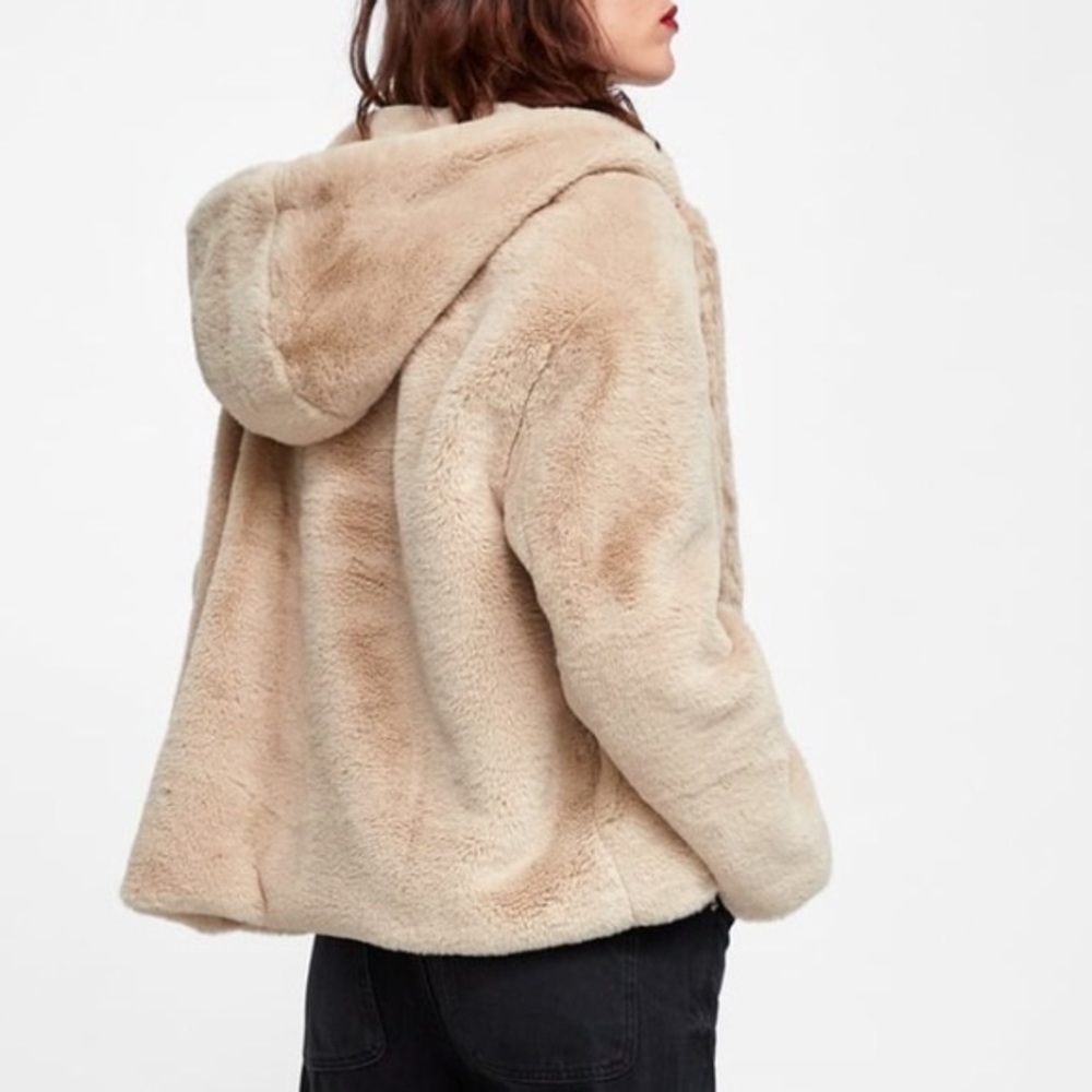 Zara Tan Teddy Jacket